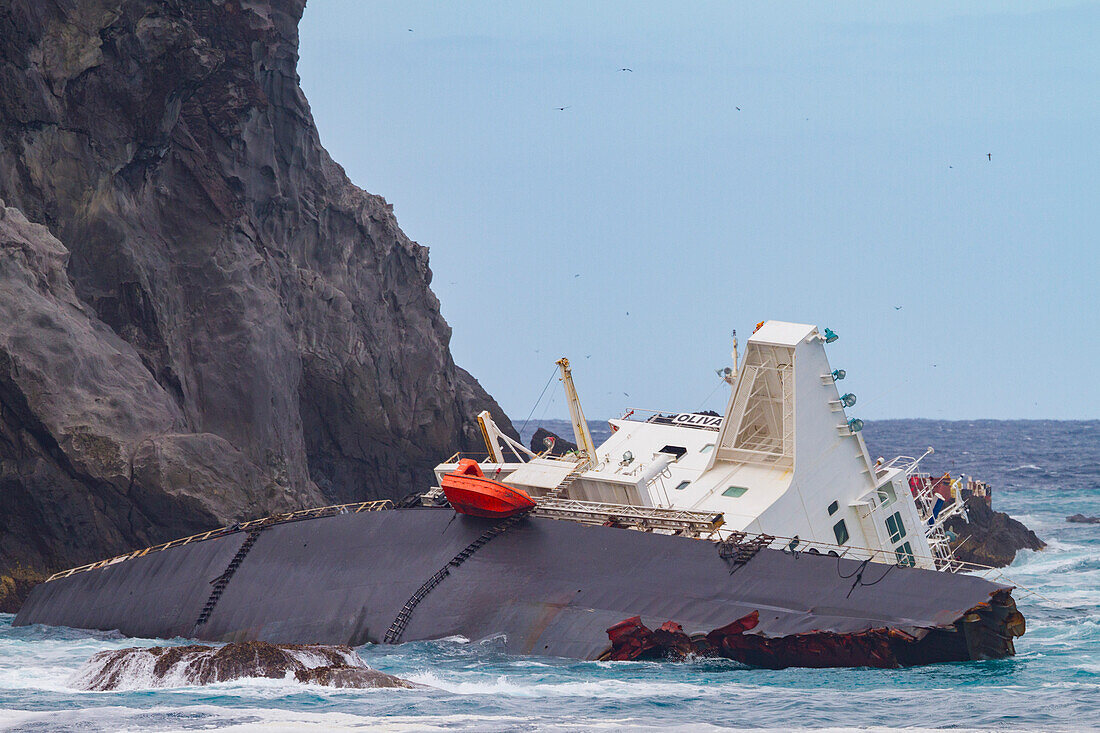 The wreck of the MS Oliva on Nightingale Island, part of the Tristan da Cunha Group, South Atlantic Ocean