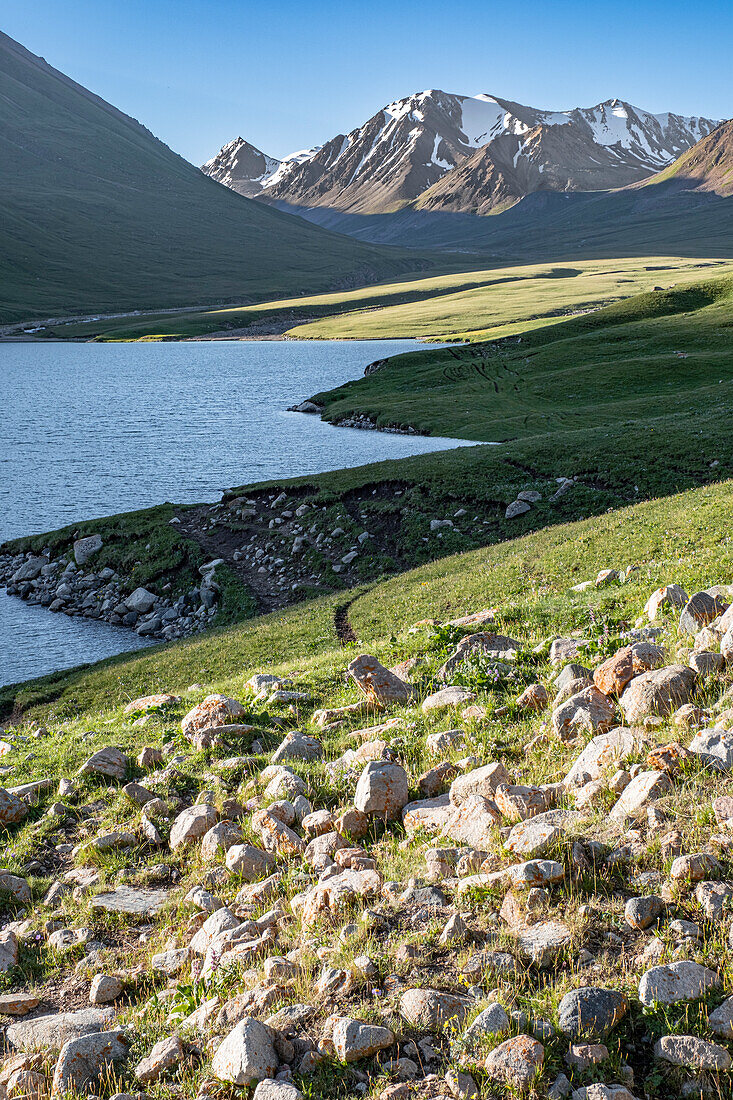 Kol-Ukok Mountain Lake at sunrise surrounded by green mountains under a blue sky, Kyrgyzstan, Central Asia, Asia