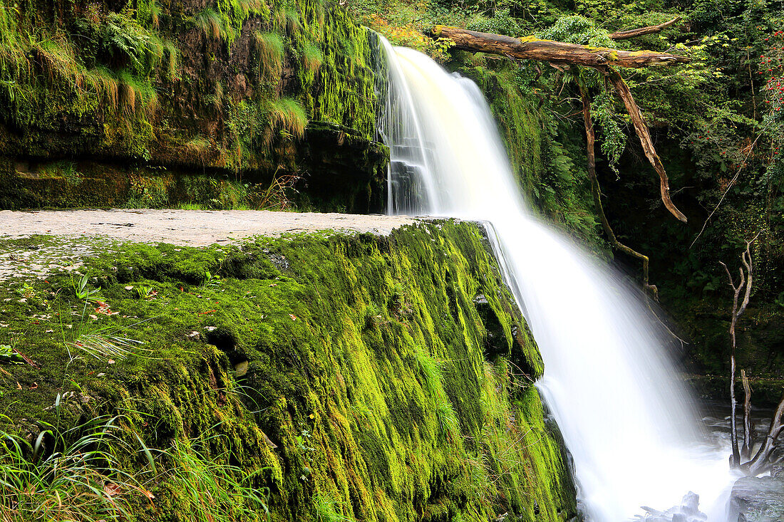 Sgwd Clun-Gwyn waterfall, Ystradfellte, Brecon Beacons, Powys, Wales, United Kingdom, Europe