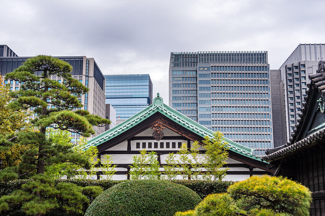 Autumnal leaves and kyscrapers of central Tokyo, with traditional temple roofs in front of modern buildings, Tokyo, Honshu, Japan, Asia