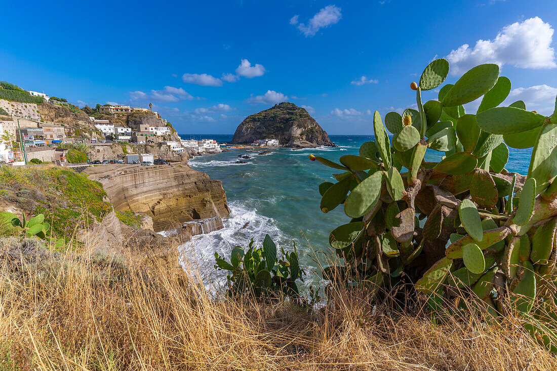 Blick auf Feigenkaktus,Klippen und Torre di Sant'Angelo,Sant'Angelo,Insel Ischia,Kampanien,Italien,Europa