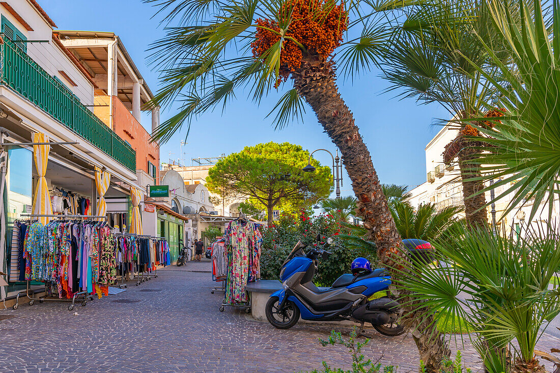 View of shops in Porto d'Ischia (Port of Ischia), Island of Ischia, Campania, Italy, Europe