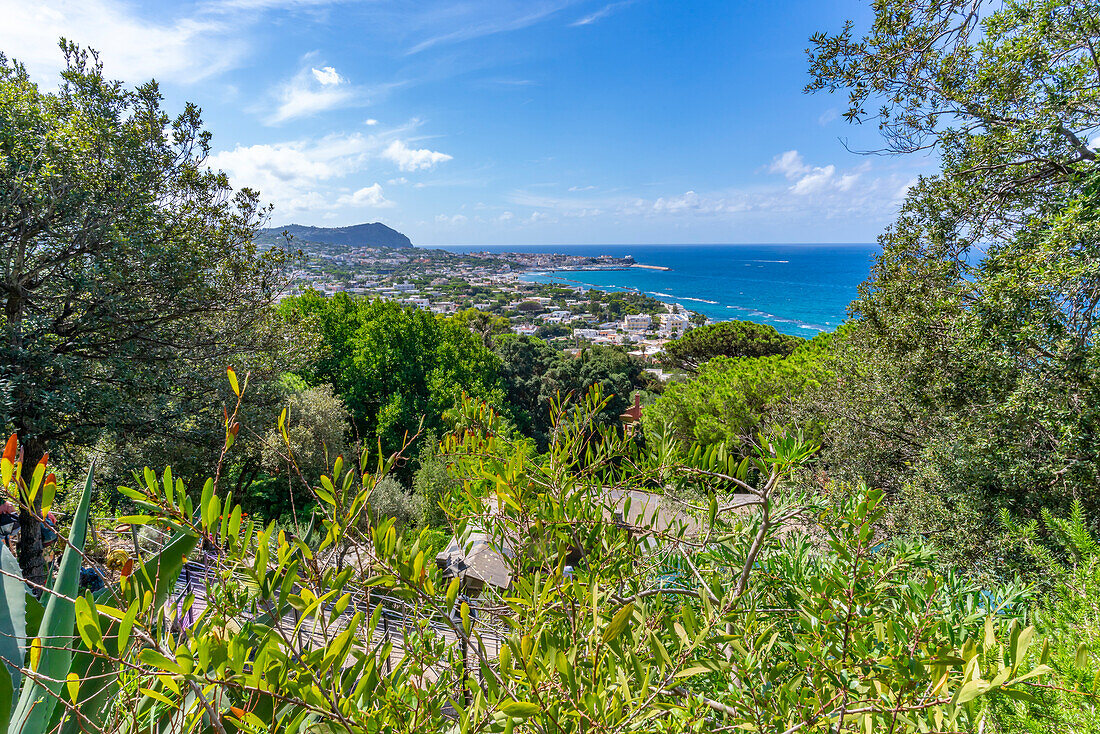 Blick auf den Botanischen Garten Giardini la Mortella und Forio im Hintergrund,Forio,Insel Ischia,Kampanien,Italien,Europa