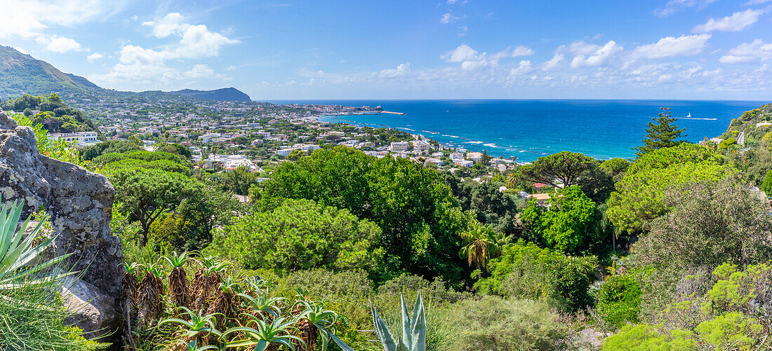 View of tropical flora in Giardini la Mortella Botanical Gardens and Forio in background, Forio, Island of Ischia, Campania, Italy, Europe