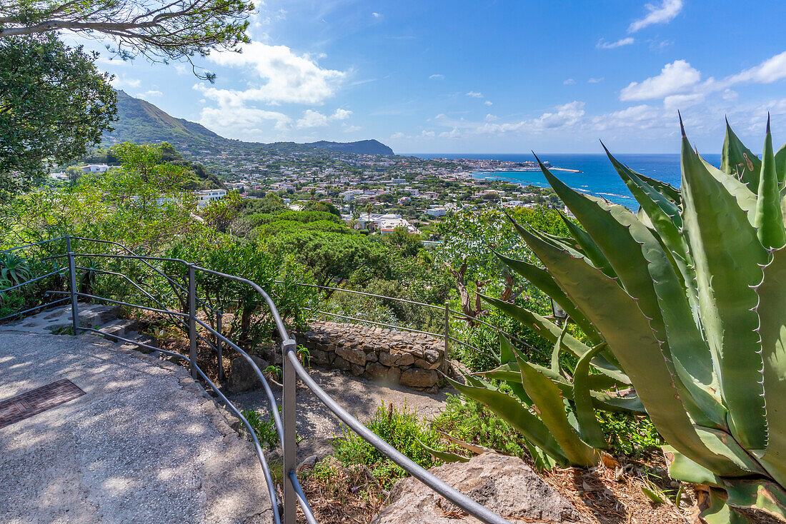 Blick auf die tropische Flora in den Botanischen Gärten Giardini la Mortella und Forio im Hintergrund,Forio,Insel Ischia,Kampanien,Italien,Europa