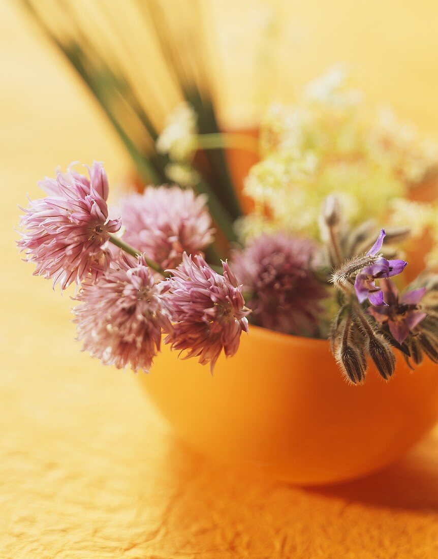 Herbs and herb flowers in orange bowl