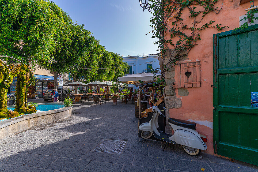 View of colourful shops and bars on Via San Francisco, Forio, Island of Ischia, Campania, Italy, Europe