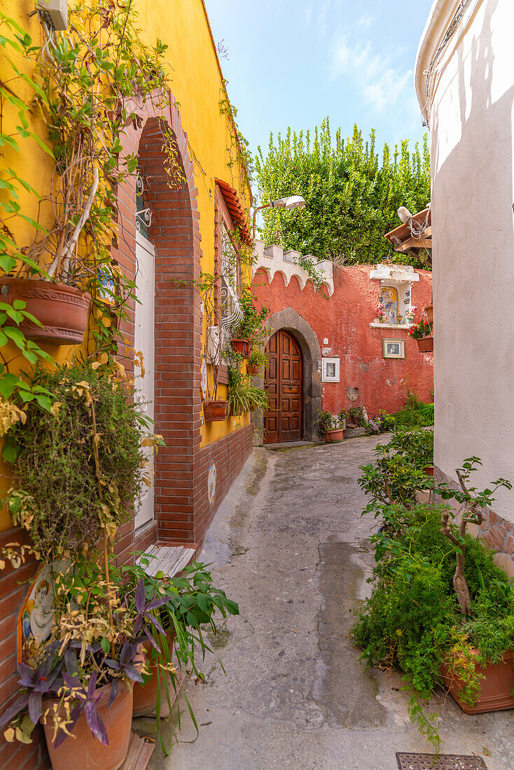 View of colourful backstreet in Forio, Forio, Island of Ischia, Campania, Italy, Europe