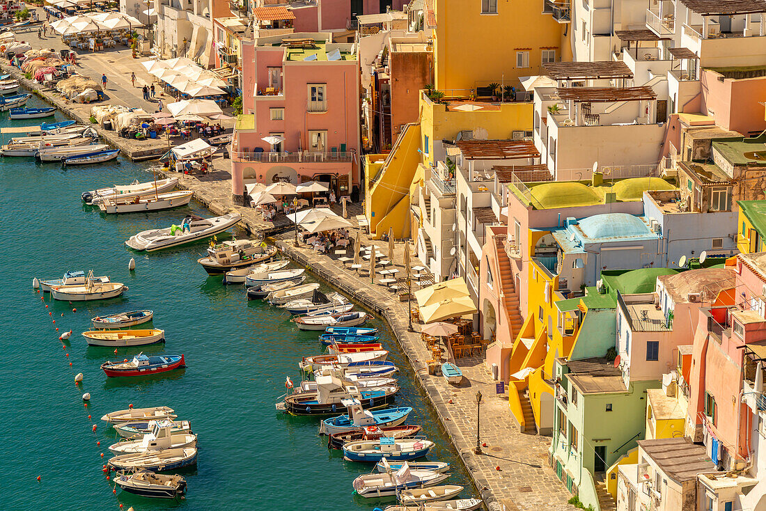 View of Marina di Corricella from elevated position, Procida, Phlegraean Islands, Gulf of Naples, Campania, Southern Italy, Italy, Europe