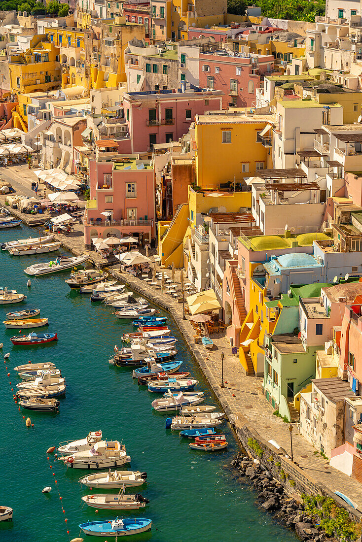 Blick auf Marina di Corricella von erhöhter Position aus,Procida,Phlegräische Inseln,Golf von Neapel,Kampanien,Süditalien,Italien,Europa