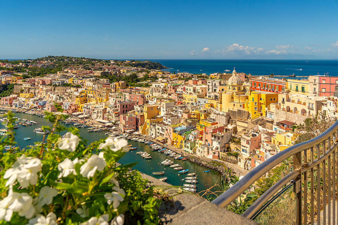 View from elevated position of Marina di Corricella, Procida, Phlegraean Islands, Gulf of Naples, Campania, Southern Italy, Italy, Europe