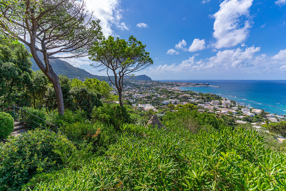 View of tropical flora in Giardini la Mortella Botanical Gardens and Forio in background, Forio, Island of Ischia, Campania, Italy, Europe