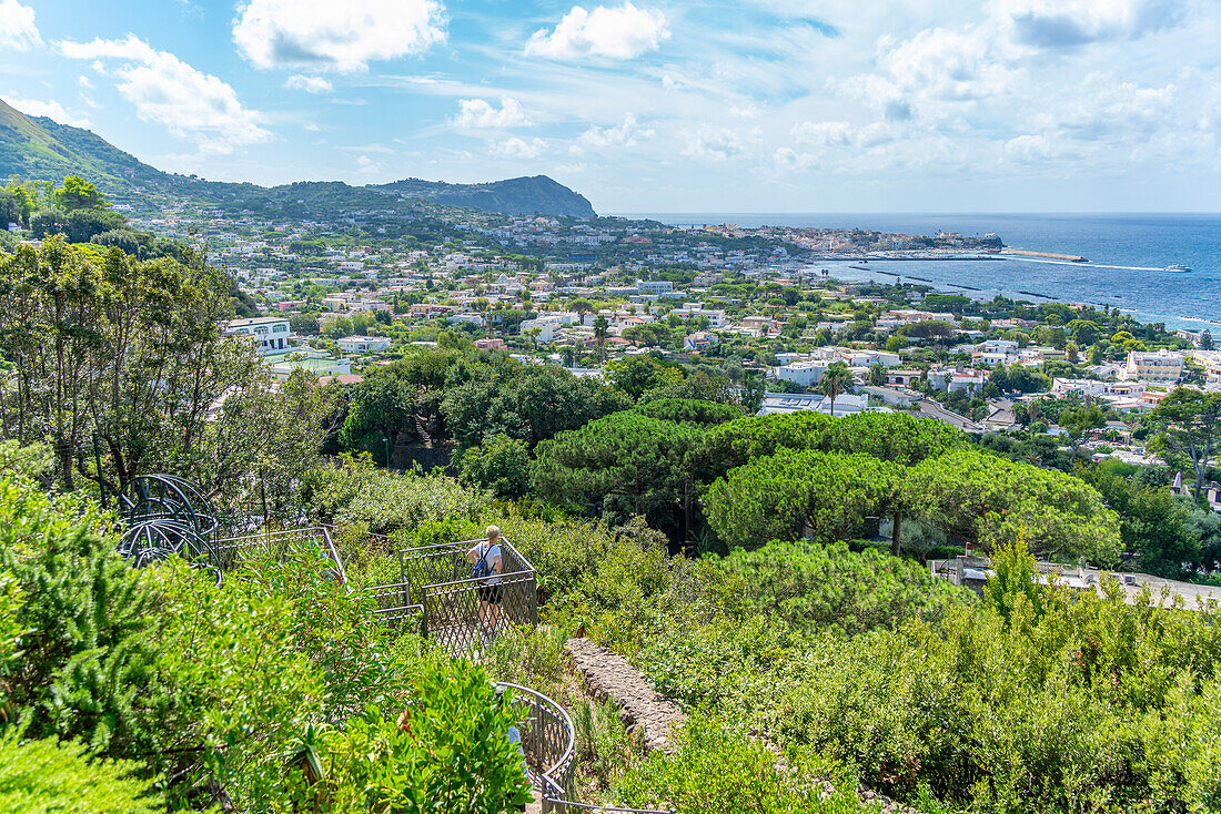 Blick auf die tropische Flora im Botanischen Garten Giardini la Mortella und Forio im Hintergrund,Forio,Insel Ischia,Kampanien,Italien,Europa