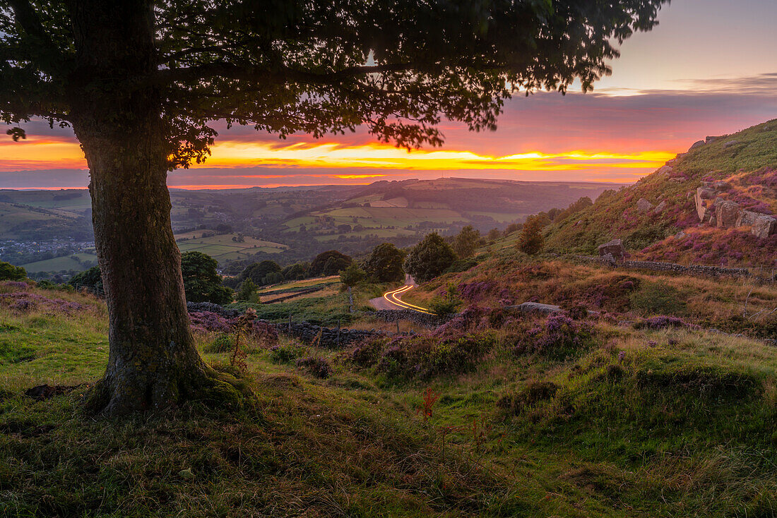 Blick auf die Landschaft von Curbar Edge mit lila blühendem Heidekraut bei Sonnenuntergang,Peak District National Park,Baslow,Derbyshire,England,Vereinigtes Königreich,Europa