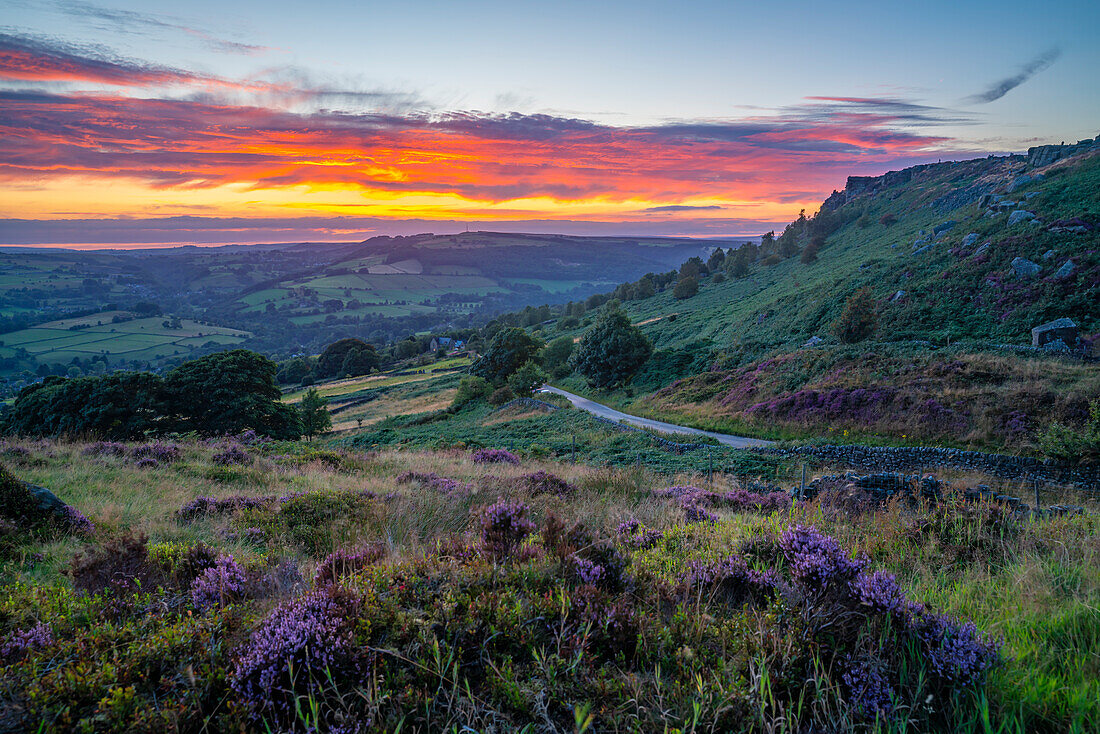 Blick auf die Landschaft von Curbar Edge mit lila blühendem Heidekraut bei Sonnenuntergang,Peak District National Park,Baslow,Derbyshire,England,Vereinigtes Königreich,Europa