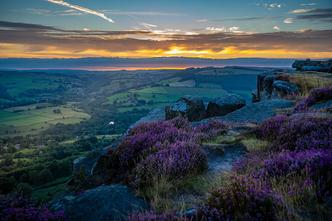 Blick auf die Landschaft von Curbar Edge mit lila blühendem Heidekraut bei Sonnenuntergang,Peak District National Park,Baslow,Derbyshire,England,Vereinigtes Königreich,Europa