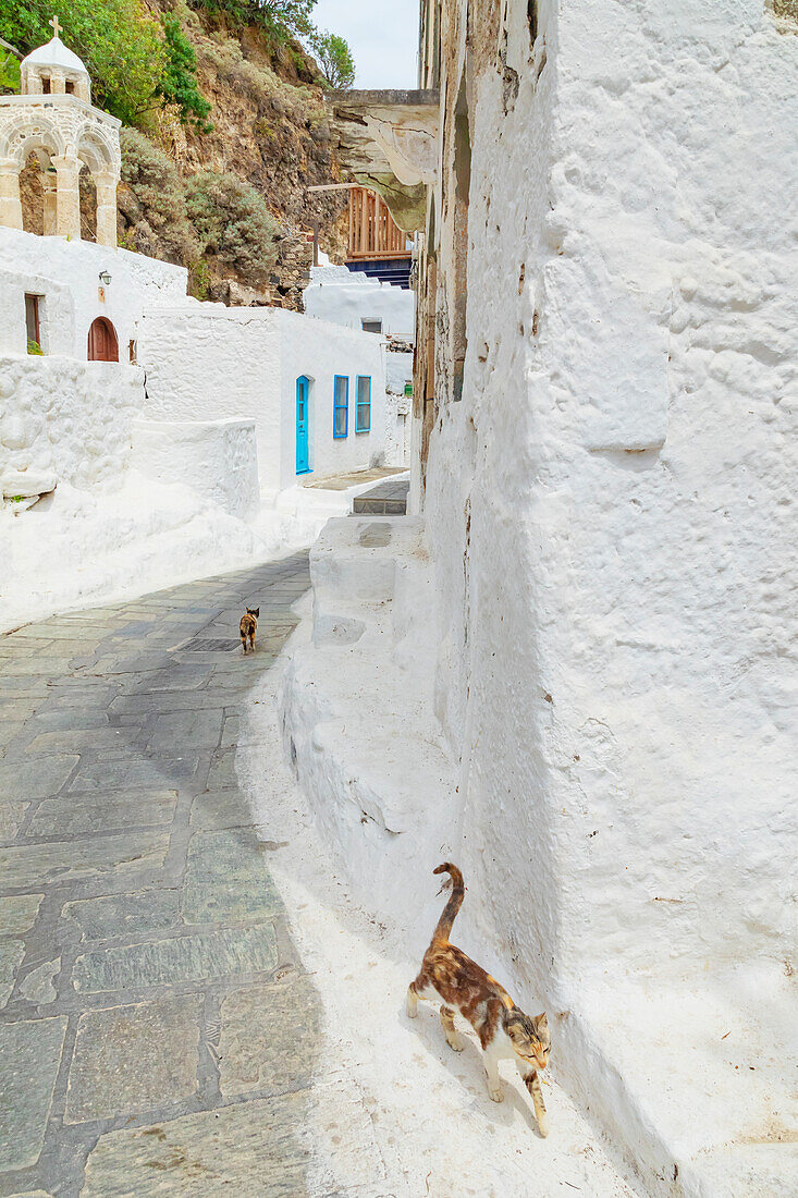 Old town street, Mandraki, Nisyros Island, Dodecanese Islands, Greek Islands, Greece, Europe