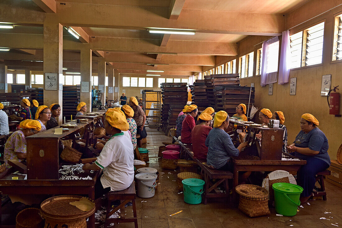 Arbeiterinnen in der Tapel Koeda Kretek (Gewürznelkenzigaretten)-Fabrik in Juwana,Insel Java,Indonesien,Südostasien,Asien