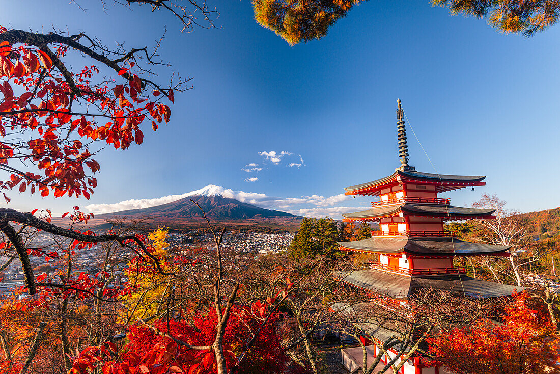 Ahornbäume und Berg Fuji,UNESCO-Welterbe,im Herbst mit roter Chureito-Pagode,Fujiyoshida,Honshu,Japan,Asien