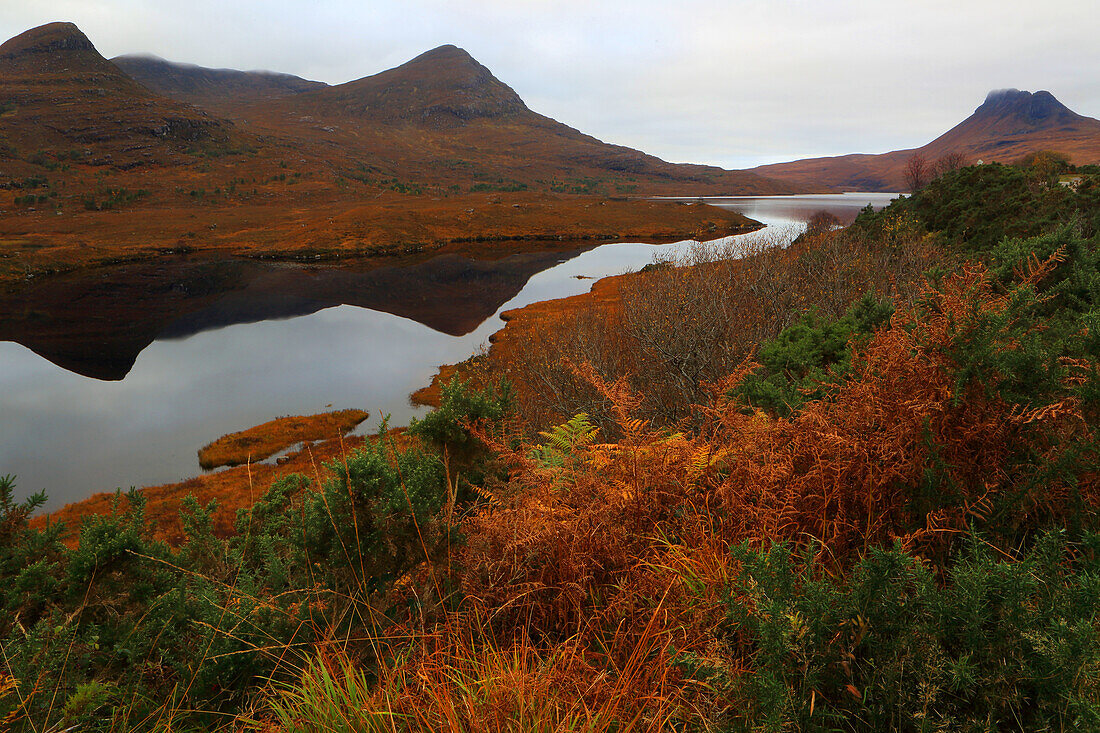 Looking towards Stac Pollaidh, Assynt, Highland, Scotland, United Kingdom, Europe