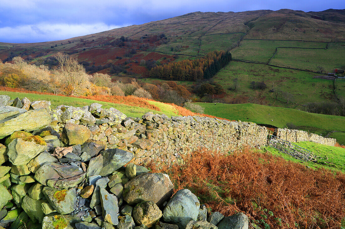 Drystone wall and moorland near Kirkstone Pass, Lake District National Park, UNESCO World Heritage Site, Cumbria, England, United Kingdom, Europe