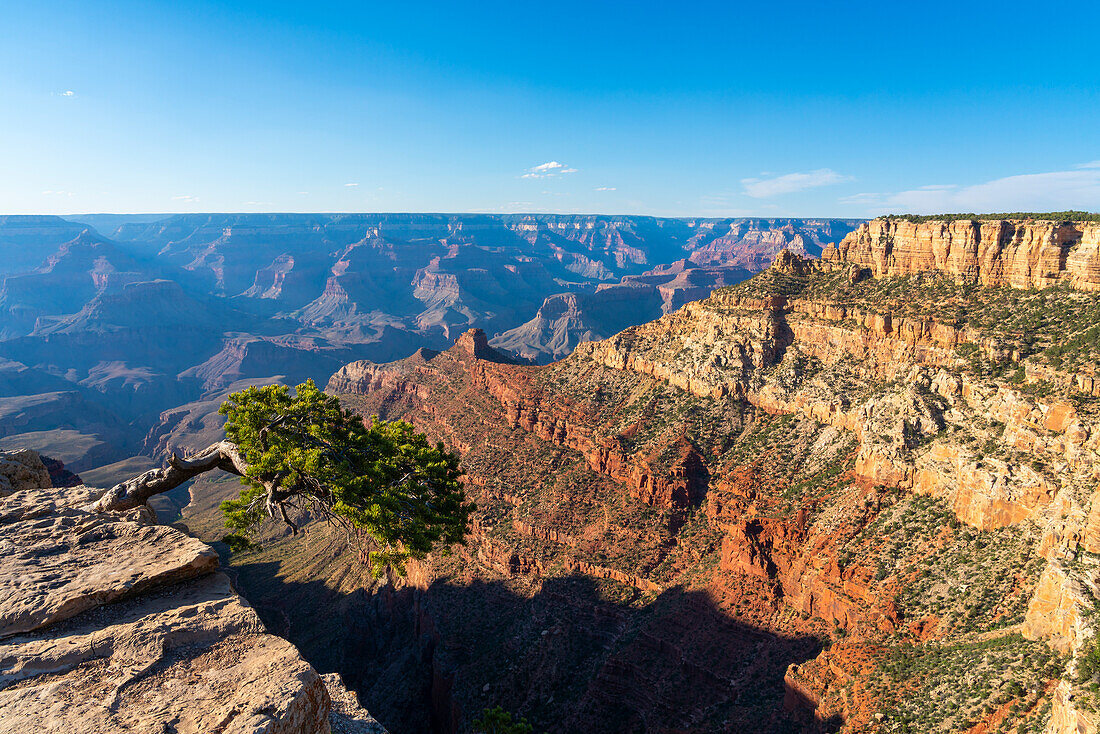 Grand Canyon,Pipe Creek Vista,Grand-Canyon-Nationalpark,UNESCO-Welterbe,Arizona,Vereinigte Staaten von Amerika,Nordamerika