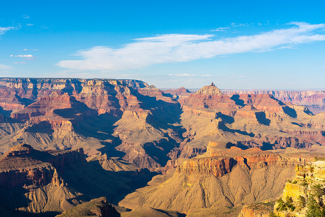 Grand Canyon,Ente auf einem Felsen Aussichtspunkt,Grand Canyon Nationalpark,UNESCO-Welterbe,Arizona,Vereinigte Staaten von Amerika,Nordamerika