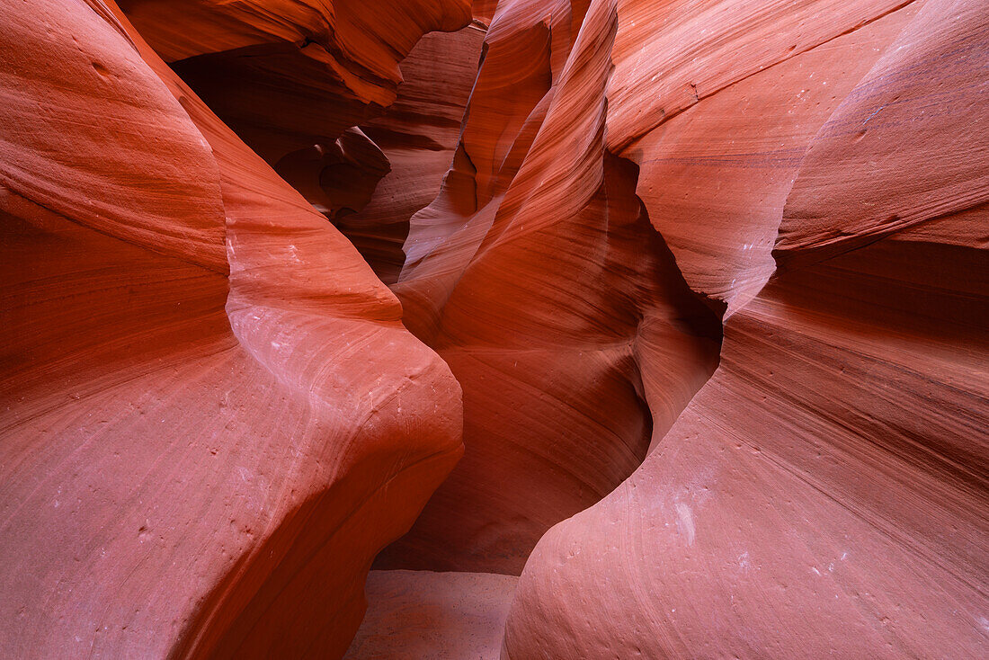 Slot-Canyon-Wände,Antelope Canyon X,Page,Arizona,Vereinigte Staaten von Amerika,Nordamerika