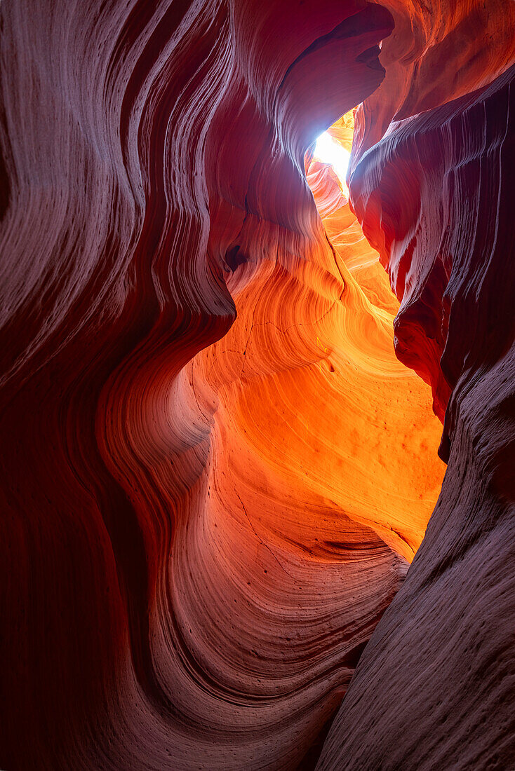 Abstrakte Details von orangefarbenen Slot-Canyon-Wänden,Antelope Canyon X,Page,Arizona,Vereinigte Staaten von Amerika,Nordamerika