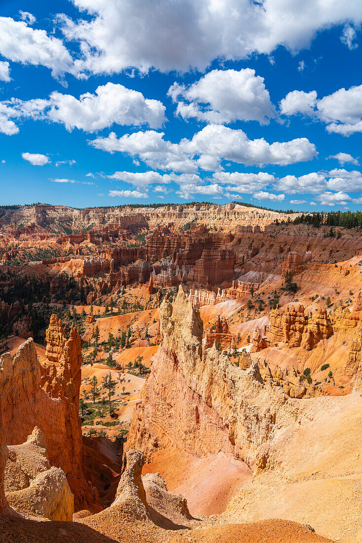 Panoramablick auf Hoodoos und Felsformationen,Sunrise Point,Bryce Canyon National Park,Utah,Vereinigte Staaten von Amerika,Nordamerika