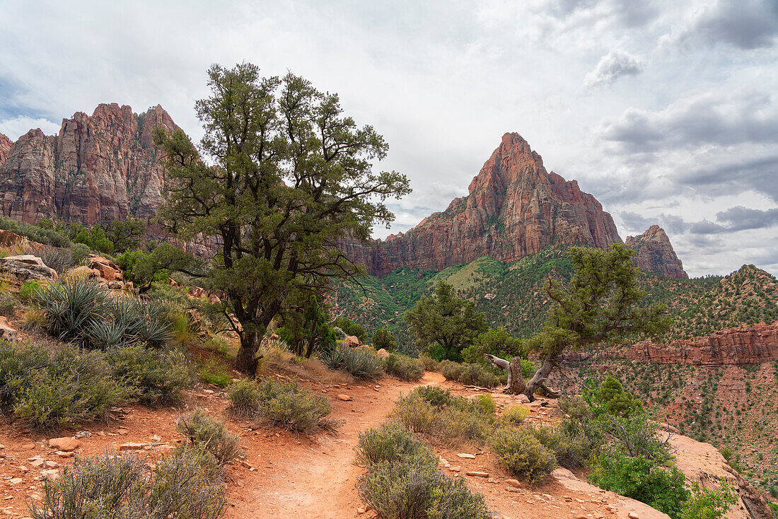 Watchman mountain,Watchman trail,Zion National Park,Utah,Vereinigte Staaten von Amerika,Nordamerika