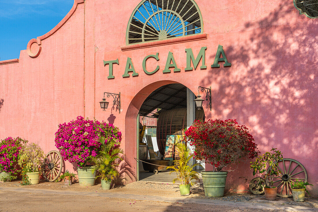 Eingang zum Weingut Tacama,Ica,Peru,Südamerika