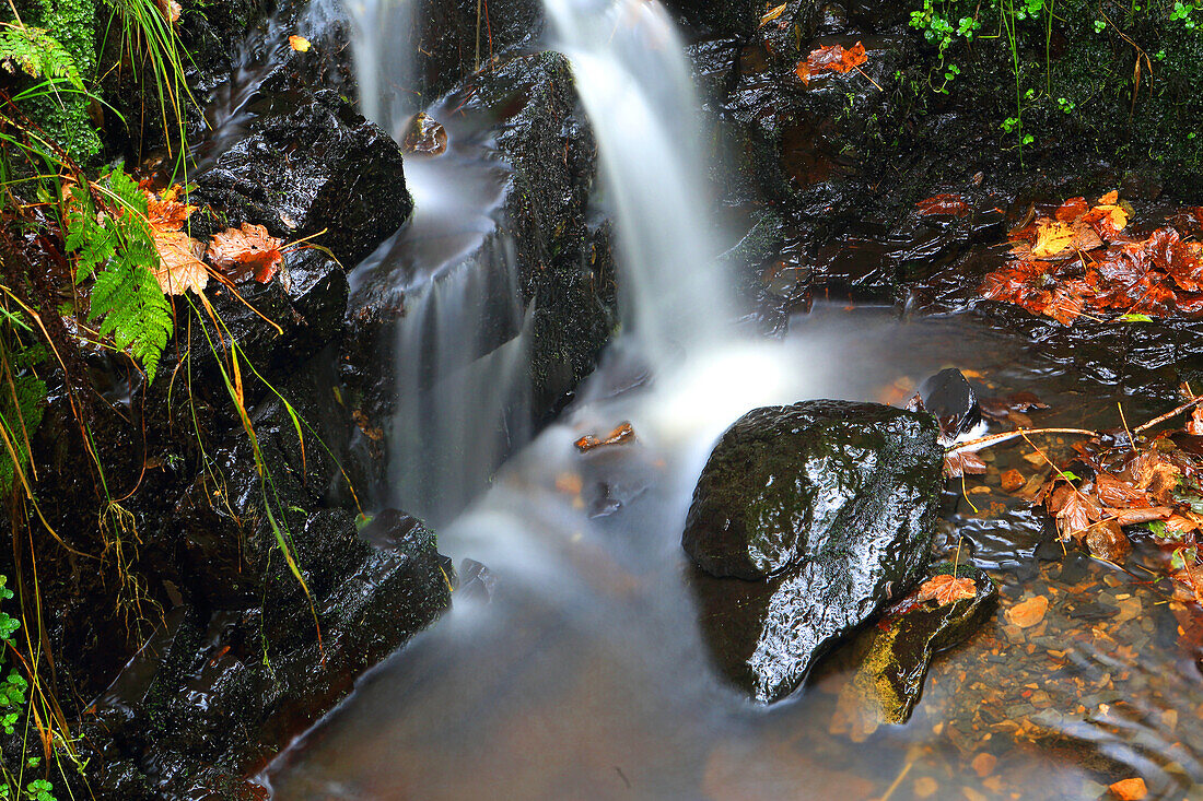 Miniature unnamed waterfall, Pyrddin Gorge, Pontneddfechan, Neath Valley, South Wales, United Kingdom, Europe