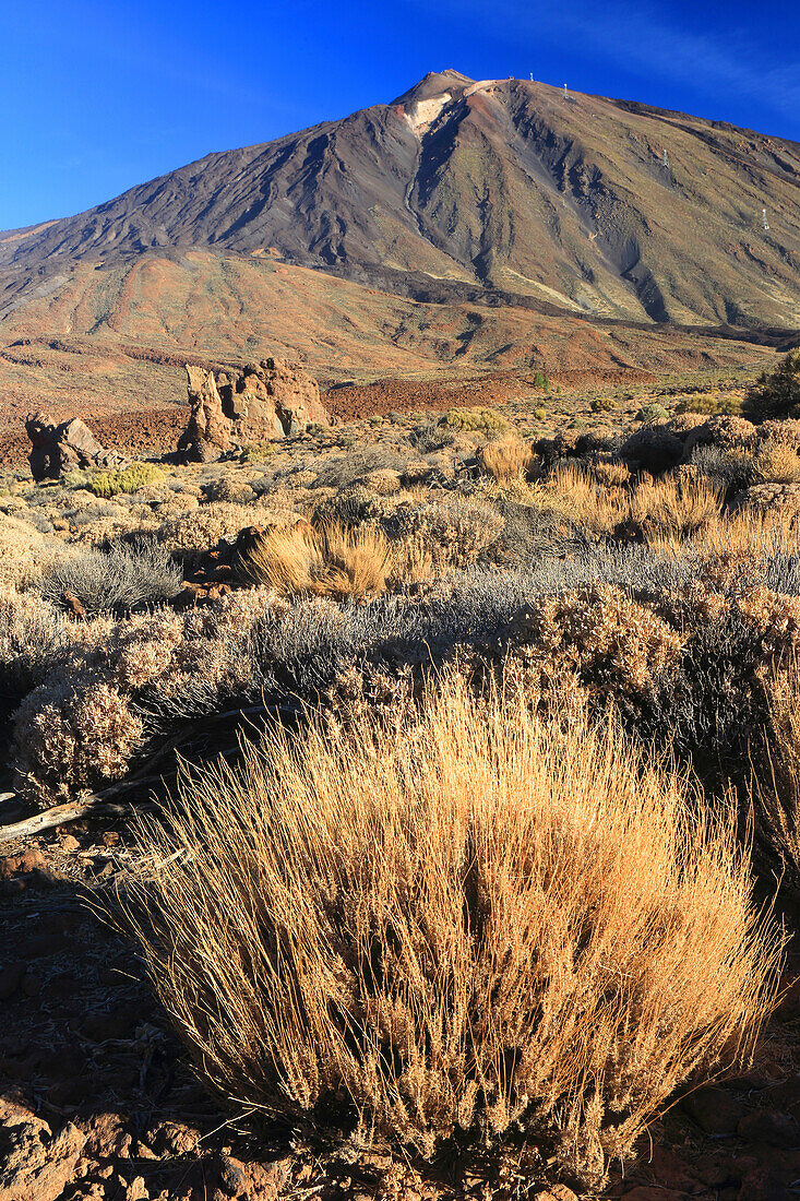 El Teide National Park,UNESCO Weltkulturerbe,Teneriffa,Kanarische Inseln,Spanien,Atlantik,Europa