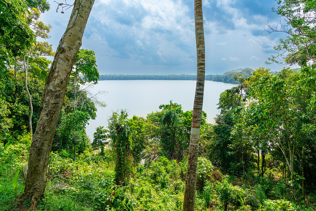 Lake Sandoval, Tambopata National Reserve, Puerto Maldonado, Madre de Dios, Peru, South America