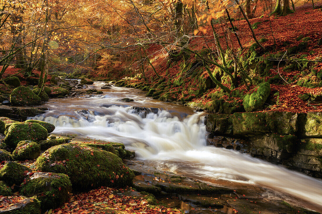 Wasserfall bei The Birks Of Aberfeldy,Perthshire,Schottland,Vereinigtes Königreich,Europa