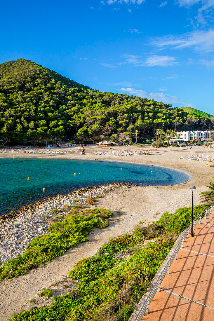 Beach at Cala Llonga, Ibiza, Balearic Islands, Spain, Mediterranean, Europe