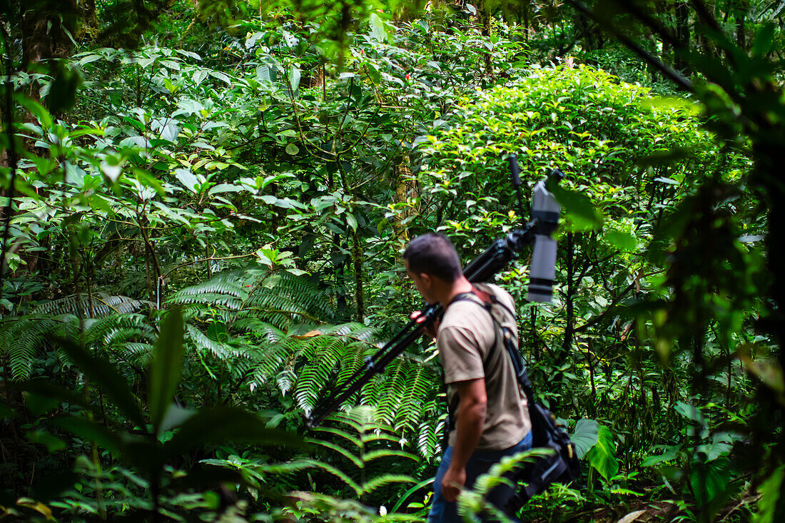 George of the Cloud Forest, guide and specialist, hiking and carrying a spotting scope in Monterey cloud forest during fauna tour, Costa Rica