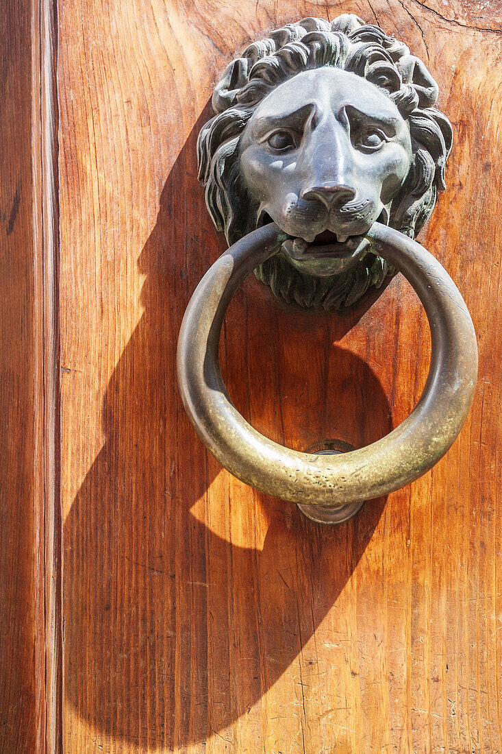 Close up of a lion-shaped bronze door knocker in Rome, Italy.