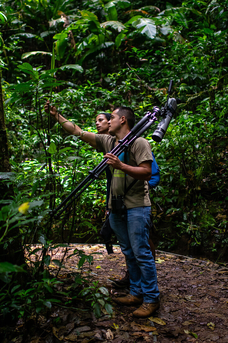 George of the Cloud Forest,Führer und Spezialist,führt eine junge Frau durch den Monterey-Nebelwald während einer Faunatour,Costa Rica