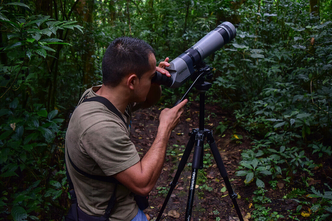 George of the Cloud Forest,Führer und Spezialist,bei der Verwendung eines Spektivs im Monterey-Nebelwald während einer Faunatour,Costa Rica