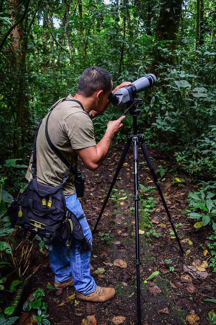 George of the Cloud Forest, guide and specialist, using a spotting scope in Monterey cloud forest during fauna tour, Costa Rica