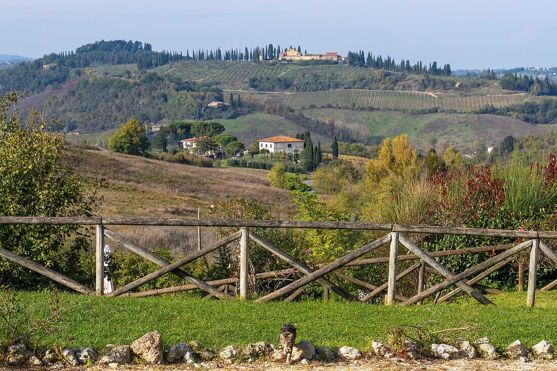 View of the surrounding hills from a lavender farm at Taverna di Bibbiano in Sienna, Italy.