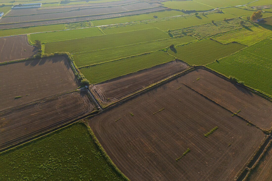 Aerial view of the fields in La Alfranca area in Zaragoza, Spain