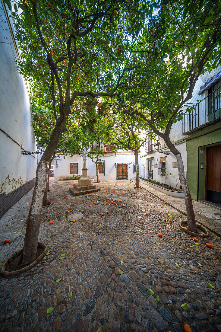 A serene scene of the San Lazaro Cross in Santa Marta Plaza, Sevilla. The historic setting is highlighted by cobblestones, lush orange trees, and charming old architecture.