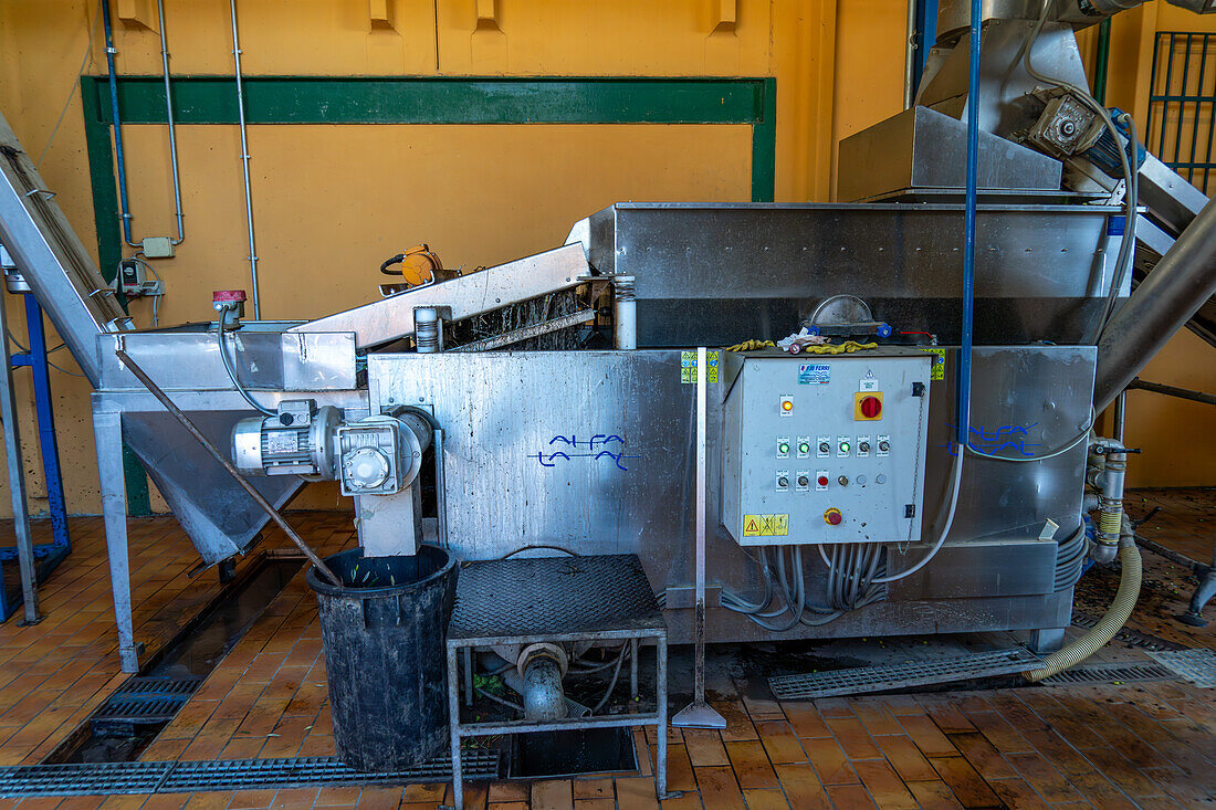 A washing machine cleans the olives for processing in an olive oil mill in Italy.