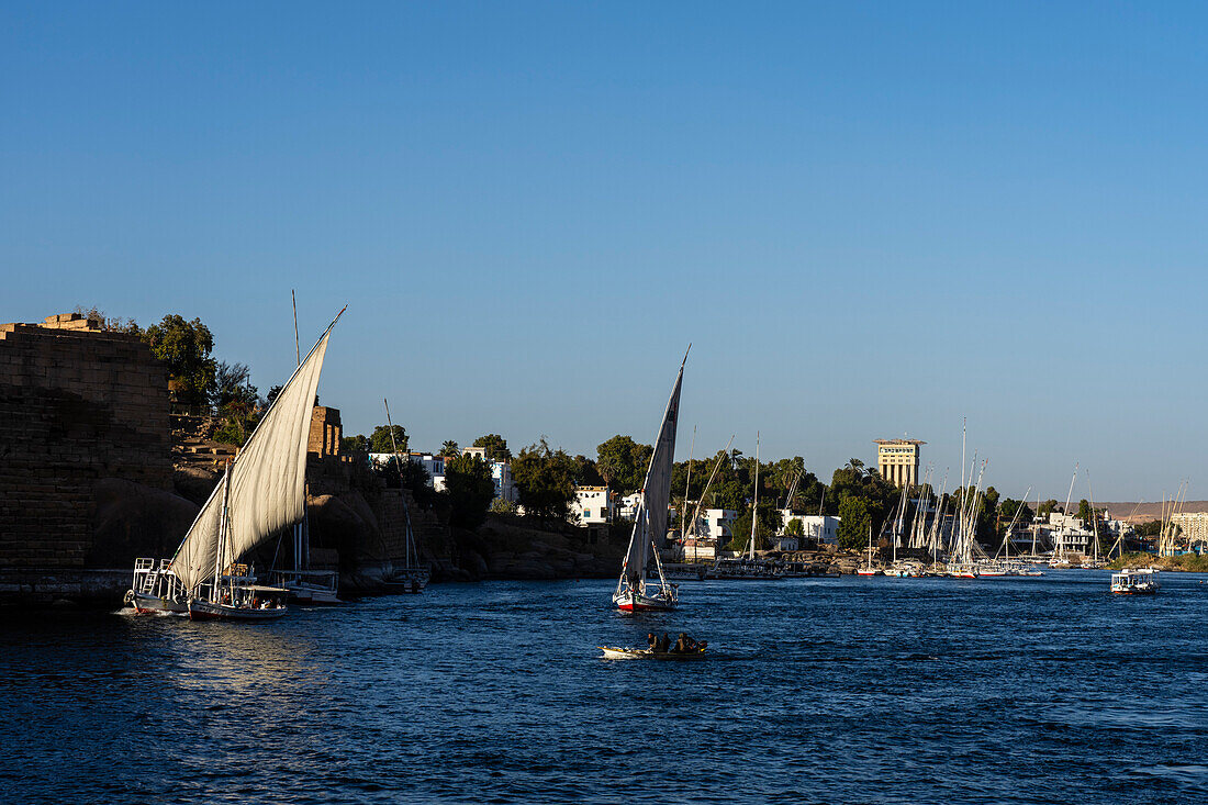 Feluccas on the Nile river, Aswan, Egypt.