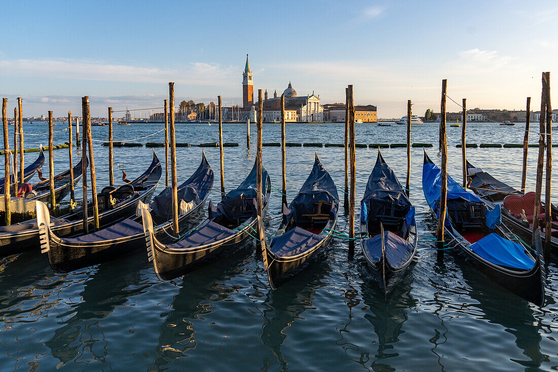 Gondolas moored and covered. Across the Giudecca Canal is the San Giorgio Maggiore Church in Venice, Italy.