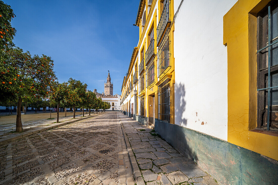 La Giralda seen from the picturesque Patio de Banderas in Seville, Spain.