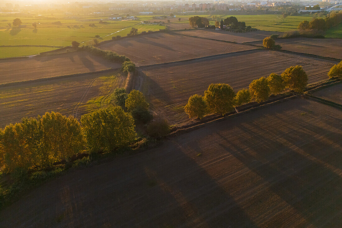 Aerial view of the fields and trees in La Alfranca area in Zaragoza, Spain